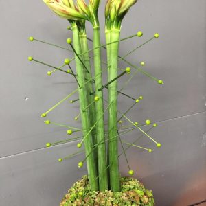 Arrangement 8