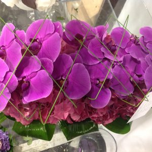 Arrangement 24