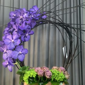 Arrangement 33